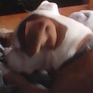 Meet your Posher, Dorothy